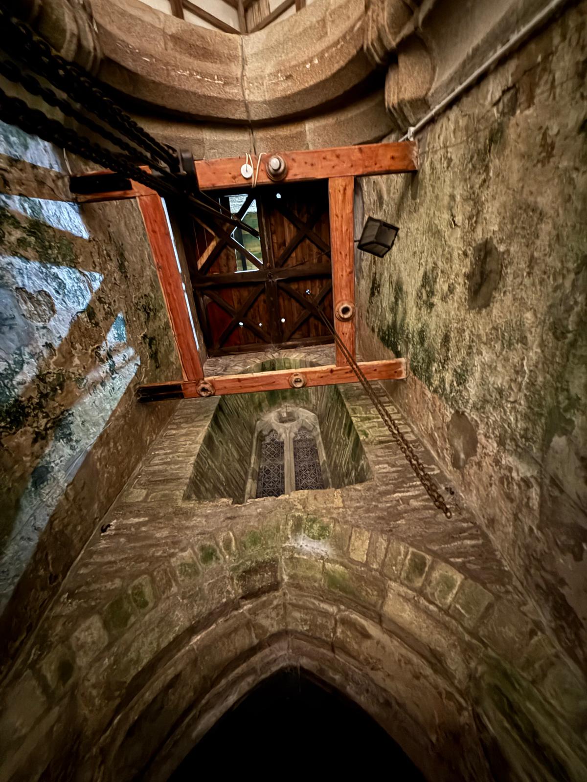 WhatsApp Image 2026-01-12 at 2