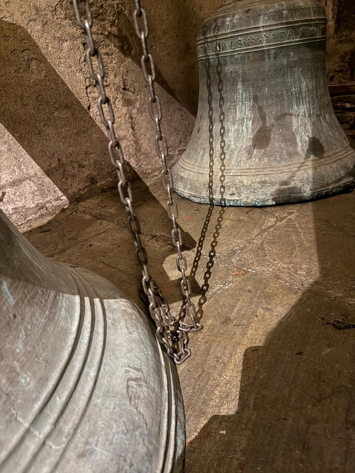 WhatsApp Image 2026-01-12 at 2